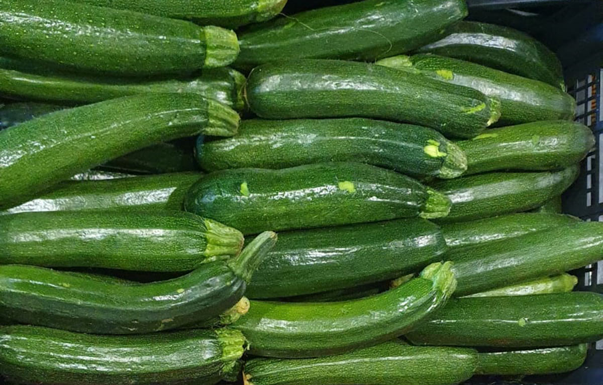 Zucchine - Sardegna - 0,65 euro al chilogrammo